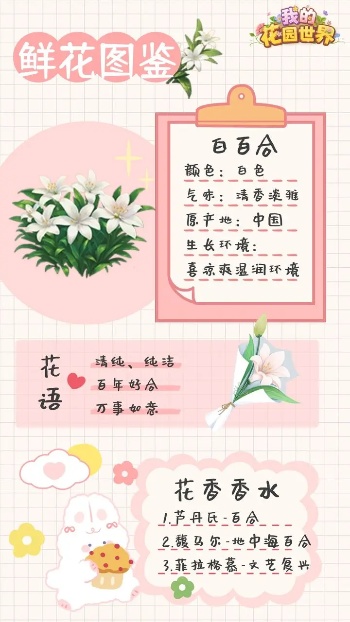 ҵĻ԰簲׿