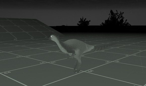 steam���������������������