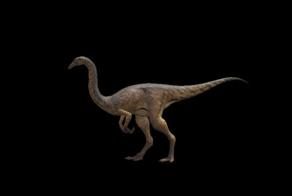 steam���������������������