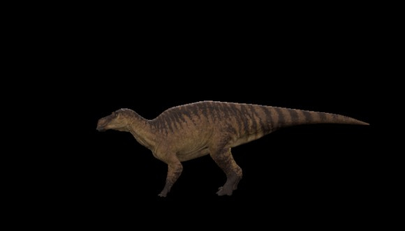 steam���������������������