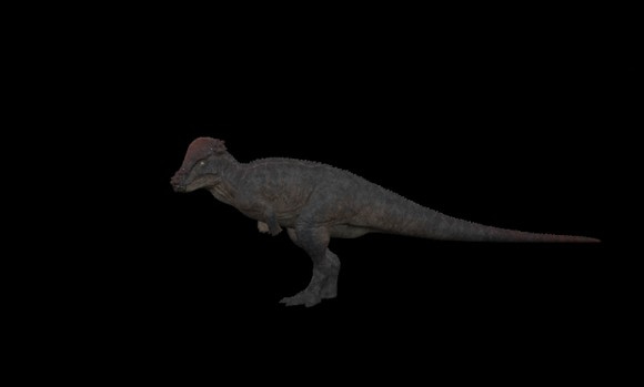 steam���������������������