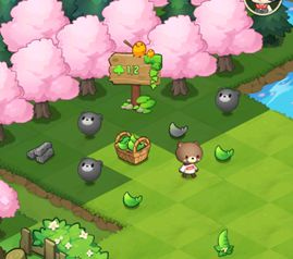 Сɭ���ڹ��ƽ����������