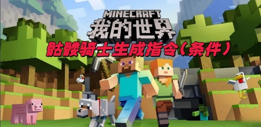 �ҵ�����������ʿ���ɸ�����ʲô mc��������ʿ�ٻ�ָ��һ��